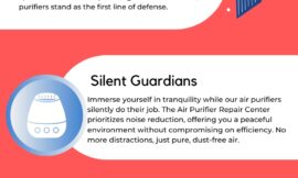 The Importance of Air Purifiers for Dust Control in Your Home