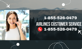 How to Connect American Airlines via Phone, Email, or Chat Options