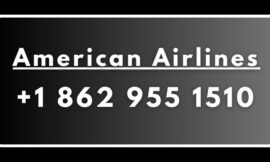 Ways to Reach American airline customer service 24 by Phone, Chat, and Email: A Detailed Guide