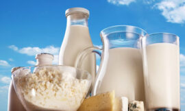 Argentina Milk Market Size, Share, Demand, Trends and Outlook 2024-2032