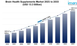 Brain Health Supplements Market Share, and Demand Forecast 2025-2033