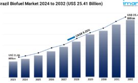 Brazil Biofuel Market Size, Share and Growth Forecast 2024-2032