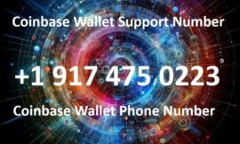 How do I Reach Coinbase Wallet Customer Support? 【Official Assistance】