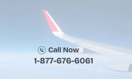 Ways To Connect JetBlue Airways Support Via Phone, Chat, And Email: An Official Guidea