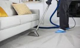 Trusted Carpet Cleaning Naples Services for Fresh, Clean Carpets