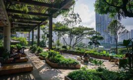 Professional Commercial Landscaping in Melbourne