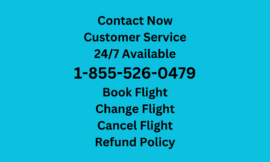 Ways to Reach United Airlines Change Flight Customer Service: Phone, Email, and Care Chat