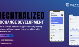 Decentralized Exchange Software – Building A Robust Crypto Trading Platform
