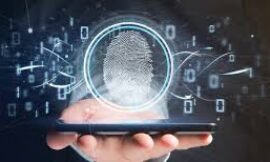 The Future of Fraud Prevention: Emerging Trends in Identity Verification