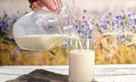 Analysis of Saudi Arabia Camel Milk Market 2025: Growth, Trends, and Opportunities