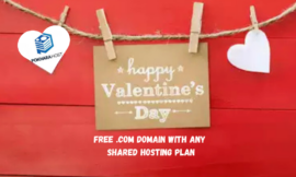 Happy Valentine’s Day! Get a FREE .com Domain with Any Shared Hosting Plan