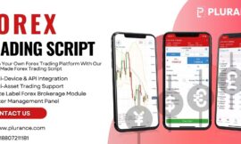 Set up your Forex trading platform quickly by utilizing Plurance’s fully developed Forex trading script.