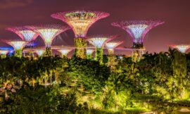 Top 6 Tourist Attractions in Singapore You Must Visit