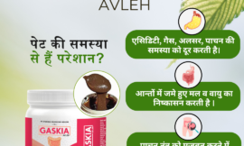 Ayurvedic Medicine for Gas and Acidity: Natural Solutions for a Healthy Gut