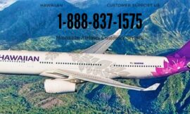 Ways to Contact Hawaiian Airlines Customer Service for Quick Assistance via Phone & Email