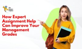 How Expert Assignment Help Can Improve Your Management Grades