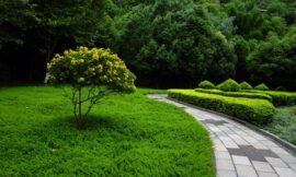 Hardscaping & Landscaping Services in Yardley, PA | Byron’s G Landscaping