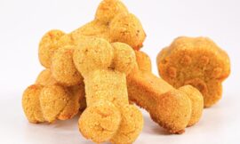 The Best Dog Stores for Chewy Dog Treats: A Guide to Quality Products