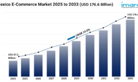 Mexico E-Commerce Market Size, Share & Growth Forecast 2025-2033