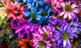 How to Choose the Perfect Flowers for Your Loved Ones in Pittsburgh