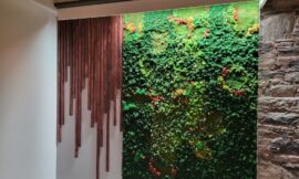 Nature Meets Design: The Power of Living Moss Walls in Interior Spaces