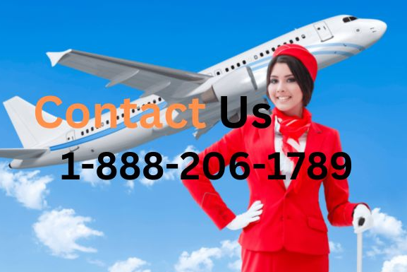 Read more about the article Ways to Reach Turkish Airlines Customer Service By Phone, Chat And Email