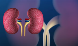 How Proteinuric Kidney Disease Impacts Your Overall Health