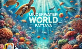 Underwater World Pattaya – Explore Thailand’s Marine Life