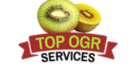 How Can Orchard Management Company Improve Green Kiwifruit Yield?