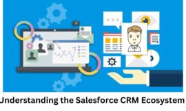 Understanding the Salesforce CRM Ecosystem: A Beginner’s Guide