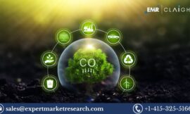 United Kingdom Carbon Dioxide Market Size, Trends & Forecast 2025-2034