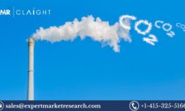 United Kingdom Carbon Dioxide Market Size, Share & Growth 2025-2034