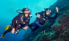 PADI Open Water Diver: A Complete Guide for Beginners