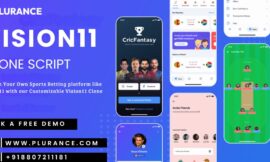 Vision11 Clone Script – A Game-Changer for Fantasy Sports Entrepreneurs