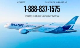 Ways to Contact WestJet Airlines Customer Service for Quick Assistance via Phone & Email