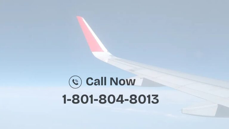 Read more about the article Need Help with Spirit Online Booking? Here’s How to Contact Support