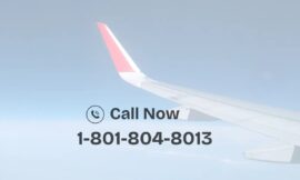 Spirit Airlines: Contacting Support for Online Booking Help