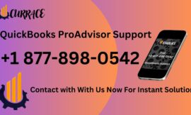 Guide 101% How to Call QuickBooks ProAdvisor Support Number?