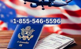 What is The JetBlue Reservations Number: A Complete Guide to Getting Help