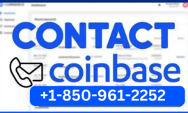 How can you talk with a human on Coinbase Support?