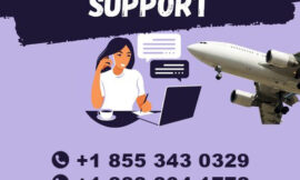 Delta Airlines Customer Service: Phone, Live Chat, and Email Support Explained