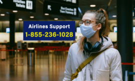 How to Reach SAS Support by Phone, Chat and Email : An Extended Travel Guide