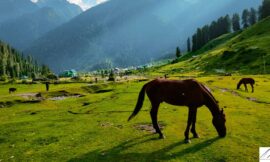 Exploring the Untamed Beauty of Warwan Valley Trek and Brammah Valley Trek