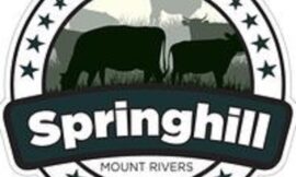 Discovering the Best Farm Fresh and Organic Beef Online: A Closer Look at Springhill Beef