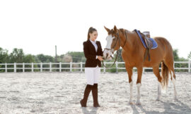 The Psychology Behind Horse Coaching: Building Trust with Your Horse