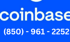 [Easy Solution] How do i contact Coinbase wallet support?