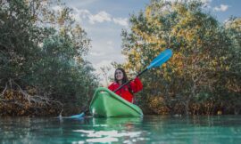 Kayaking Tour Abu Dhabi