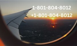 How to Call Copa Airlines via Phone, Email, or Chat Options: An In-Depth Guide now