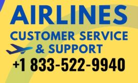 Ways to Call United Airlines Name Change by Phone, Chat, and Email: Step by Step Guide