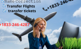 [Instant Response]How Do I Book a Flight with American Airlines?